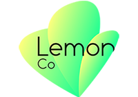 Agence Web Lemon-co